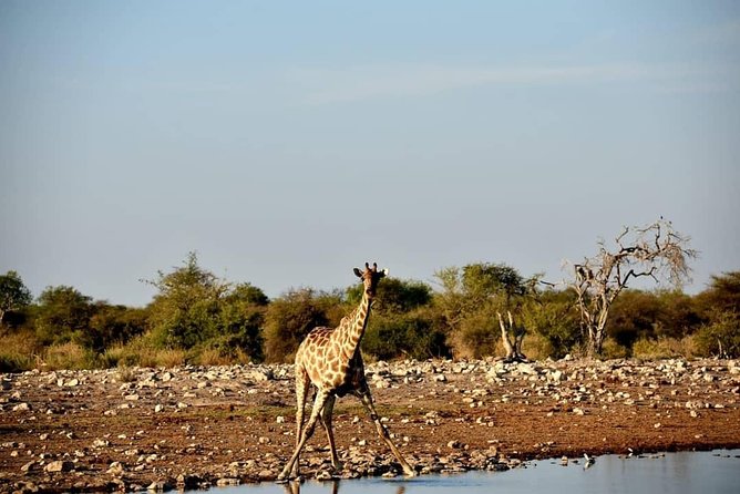 15 Days/ 14 Nights All About Namibia - Self-drive - Exciting Activities and Adventures