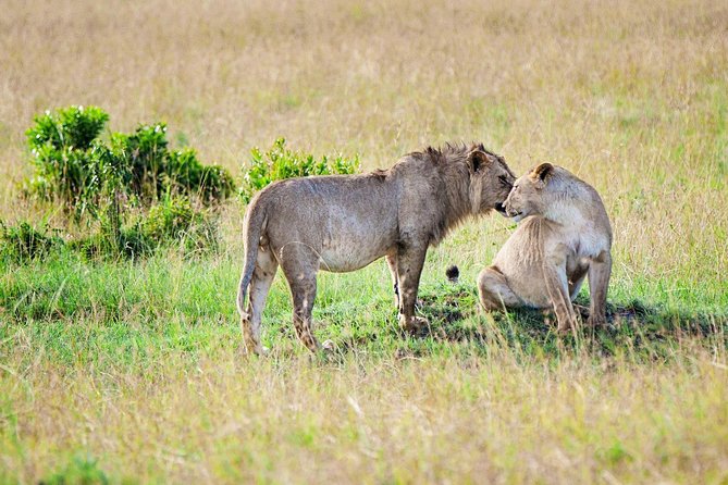 16 Days African Mountain Biking Cycling Safari Holiday Adventures - Cultural Experiences