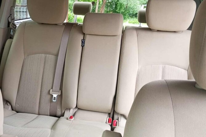 $ 19 per Person Airport Transfer in Small Group, Minivan With AC - Passenger Capacity and Equipment