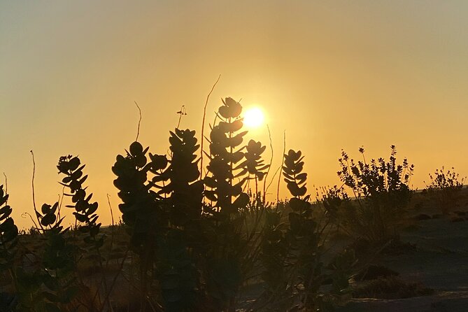 2-Day Overnight Desert Experience - Additional Info