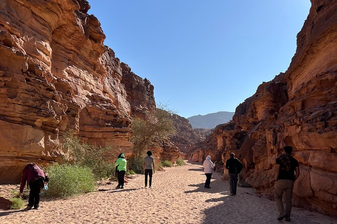 2 Day Private Desert Experience in Sinai - Frequently Asked Questions