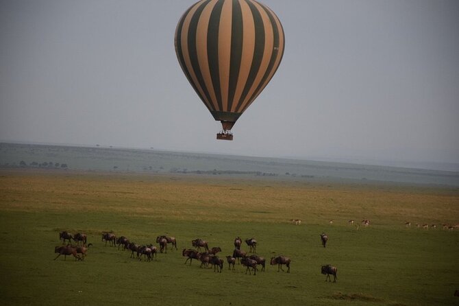 2-Day Private Tour in Masai Mara With Pick up - Additional Information