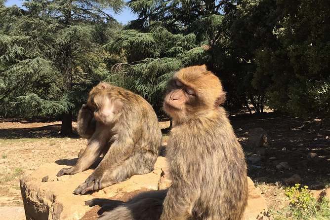 2-Day Small Group Desert Tour From Fes - Accommodations