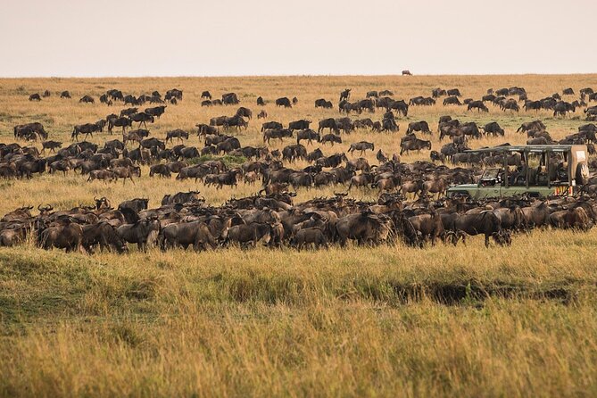 2-Day Tour Safari Tarangire Ngorongoro Crater and Maasai Village - Cancellation and Refund Policy