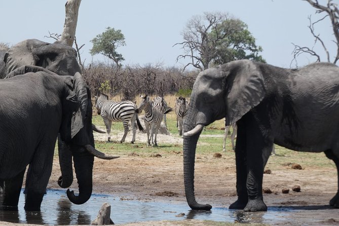 2 Day Wilderness Trail: Okavango Delta and Moremi - Camping Safari - Pricing Details