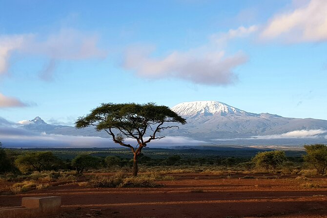 2 Days Amboseli Park Overnight Private Safari - Additional Considerations