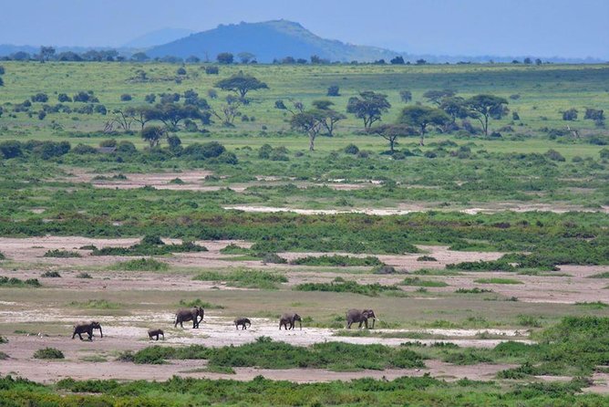 2 Days Amboseli Private Safari - Inclusions