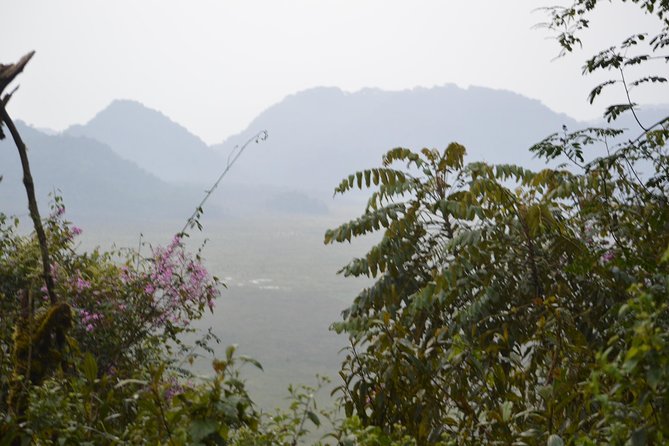 2-days Chimpanzee Tracking and Canopy Walk Nyungwe - Important Reminders
