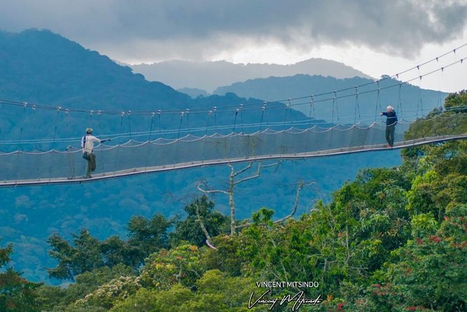 2 Days Chimpanzees Trekking Tour and Canopy Walk Adventure - Booking and Cancellation Policies