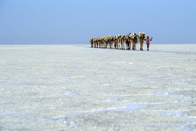 2 Days Dallol Trip - Meeting and Pickup Information