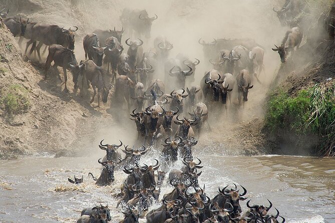 2 Days Enjoy Serengeti National Park With Balloon Safari - Customer Experience