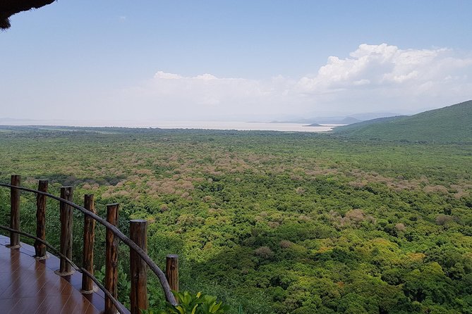 2 Days Ethiopian Rift Valley Lakes Tour From Addis Ababa - Cancellation Policy Details