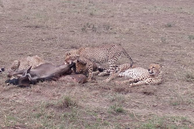 2 Days Private Tour to Ngorongoro and Tarangire National Park - Pricing and Discounts