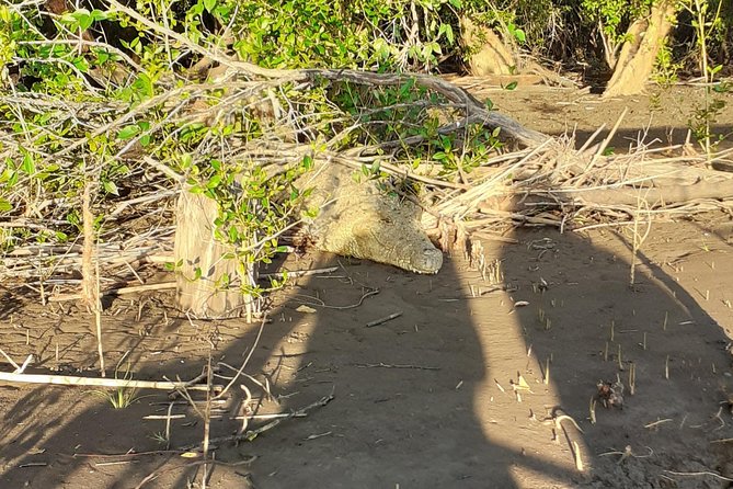 2 Days Saadani National Park From Zanzibar - The Sum Up