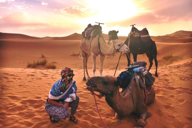 2 Days Sahara Desert Trip From Fes Return To Fes All Inclusive - Price and Cancellation Policy
