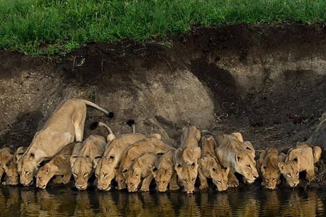 2 Days Tarangire and Ngorongoro Group Tour - Transportation Information