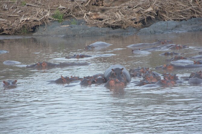 2 Days Tour From Zanzibar to Nyerere National Park (Selous GR) - The Sum Up