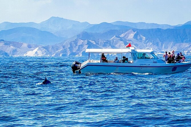 2 Hour Dolphin Watching Experience in Muscat - Reviews