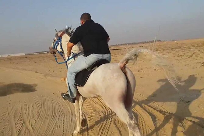 2-Hour Horse Ride Plus Egyptian Show With Bedouin Dinner in Sharm El Sheikh - Accessibility and Participation