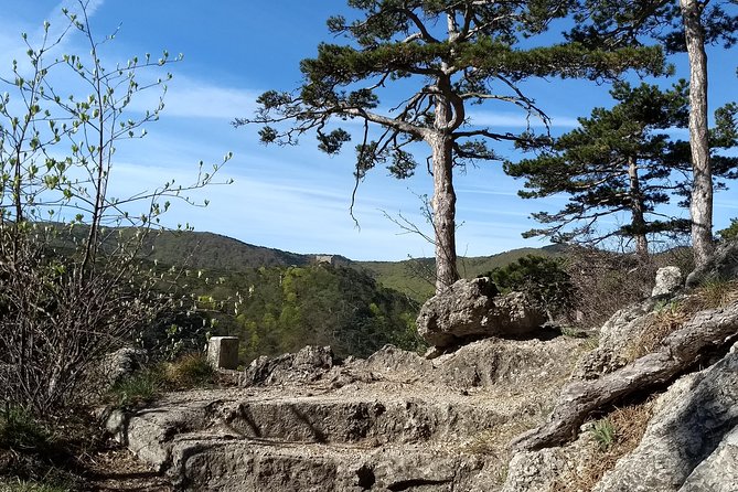 2-Hour Private Hiking Tour on Kalenderberg Mountain to Meet History From Vienna - Weather Considerations