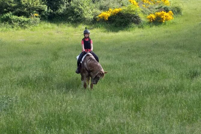 2-Hour Private Horse Riding With Views in Tuscany - Accessibility Guidelines