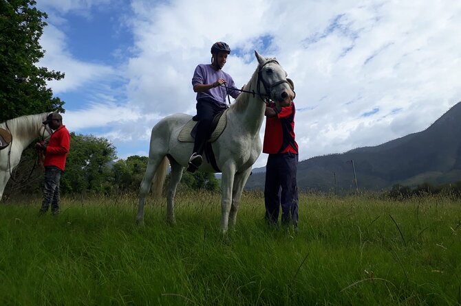 2 Hour Storms River Horse Trails Activity - Participants and Cancellation Policy