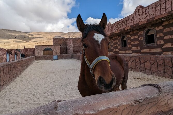 2 Hour Trail Ride to Little Petra-Morning or Sunset - The Sum Up