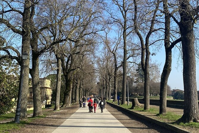 2 Hour Walking Tour at Lucca - Booking