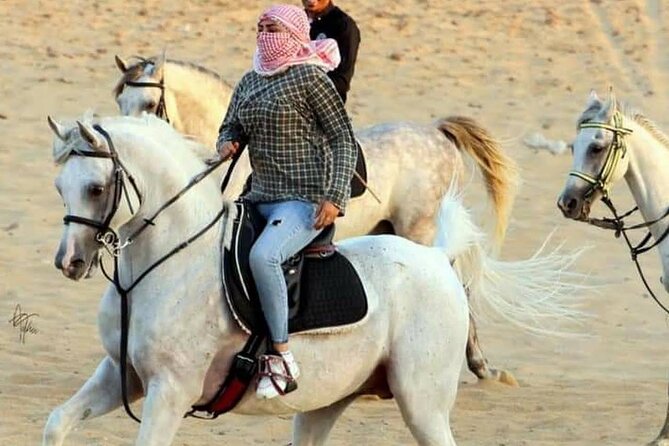 2 Hours Horse Riding at Amazing Desert With Transfer - Sharm El Sheikh - Pricing and Inclusions