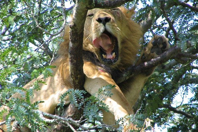 20 Days Combined East African Adventure Safari - Cancellation Policy and Refunds