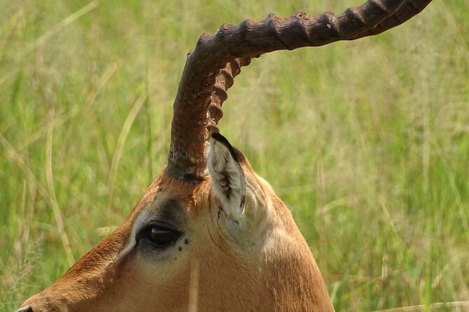 2days Spectacular Tanzania Safari - Pickup and Transportation Details