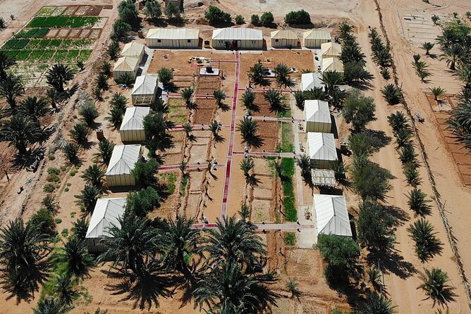 3-Day, 2-Night Desert Tour From Fes to Marrakech - Reviews and Ratings