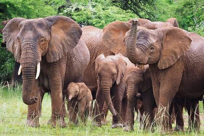 3-Day Akagera National Park Tour - Booking and Confirmation Details