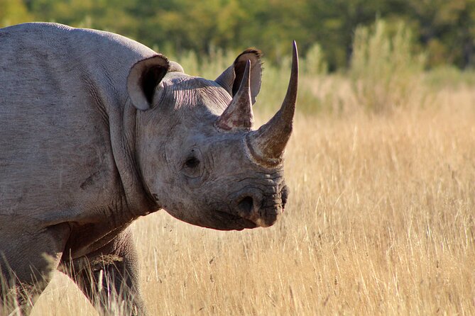 3 Day Etosha Private Guided Safari - The Sum Up