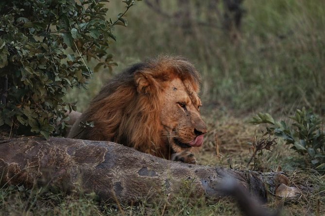 3 Day Mokoro Camping Safari - Boro Island Adventure - Pickup Information