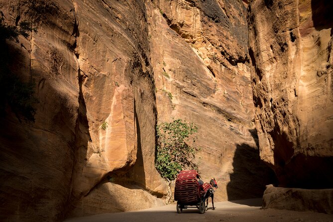 3-Day Petra and Wadi Rum Tour From Tel Aviv - Practical Information and Tips
