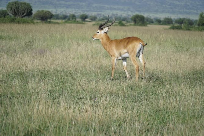 3 Day Queen Elizabeth National Park - Frequently Asked Questions