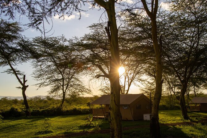 3-Day Safari Tarangire and Flamingo Walk Lake Natron Private Guided Tour - Important Reminders