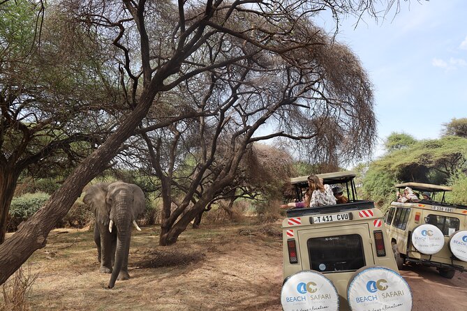 3 Day Safari Tarangire/Lake Manyara and Ngorongoro From Zanzibar With Flights - Frequently Asked Questions