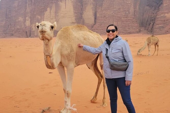 3-Day Tour From Amman: Jerash, Ajloun, Petra, Wadi Rum & Dead SEA - Entry/Admission Fees
