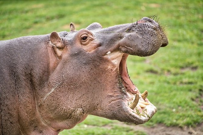 3-Day Tour to Queen Elizabeth National Park - Tour Inclusions