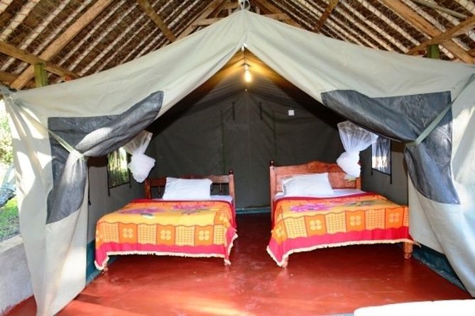 3 Days 2 Nights Budget Group Safari to Maasai Mara National Reserve - The Sum Up