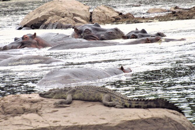 3 Days 2 Nights Maasai Mara Safari Transport 4x4 Landcruiser Jeep - The Sum Up