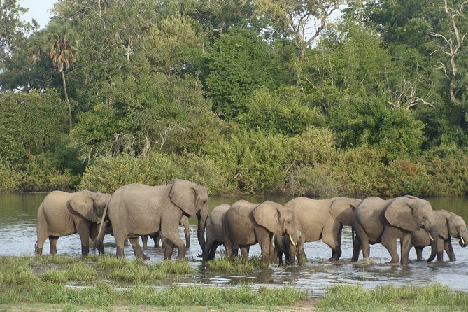 3 Days 2 Nights Nyerere National Park Lodge Wildlife Safari - Safety and Insurance Coverage