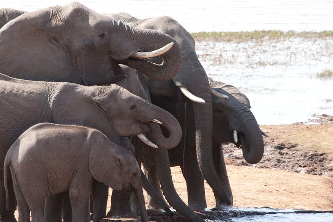 3 Days 2 Nights Victoria Falls - Booking Details
