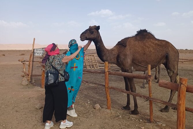 3 Days and 2 Nights Excursion From Fez to Sahara Désert - Frequently Asked Questions