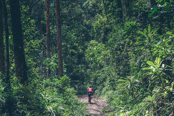 3 Days Congo Nile Trail Hike - Important Information for Participants