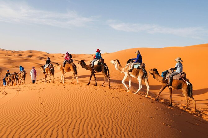 3 Days Desert Tour From Fes to Marrakech - Customer Reviews