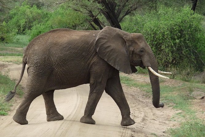 3 Days Lodge Safari - Frequently Asked Questions