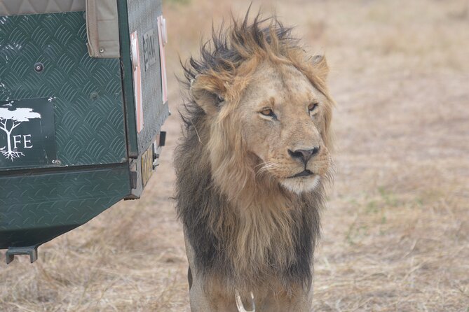 3-Days Masai Mara Rhythms Safari - Accommodation Details